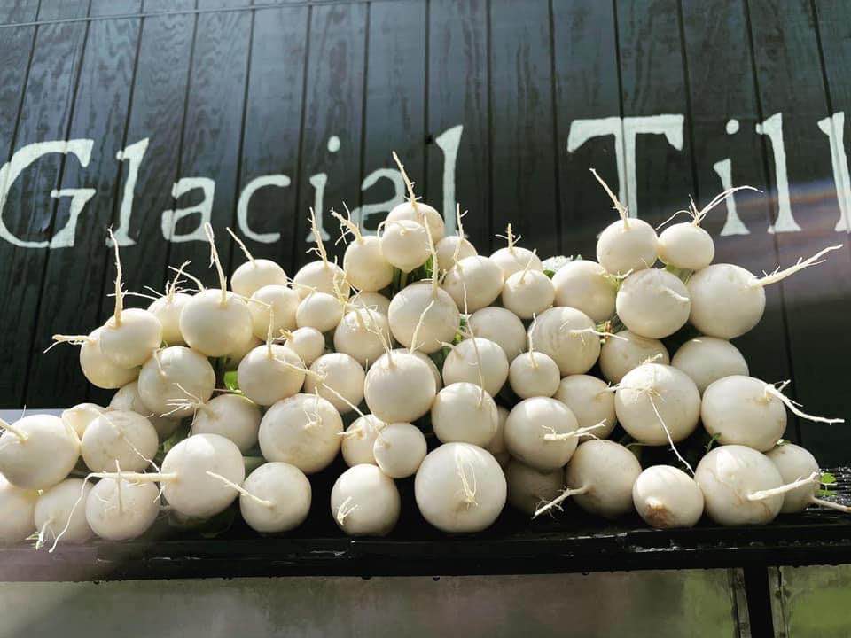 Glacial Till Farms has delicious white turnips at Fresh Marketplace.